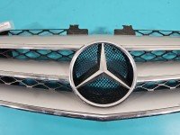 Atrapa grill Mercedes W251