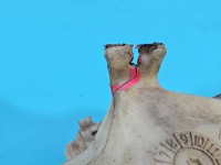 Zbiornik Zbiorniczek płynu spryskiwacza Jeep Cherokee XJ