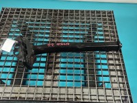 Wzmocnienie zderzaka przód belka Peugeot 3008 II Peugeot, Europejska, STREFA ZGNIOTU PRAWA przednie KWE