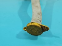 Zbiornik Zbiorniczek płynu spryskiwacza Renault Master III 10-24