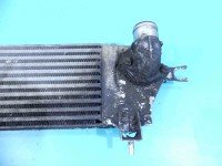 Intercooler Nissan Qashqai I J10 06-13 1.5 dci