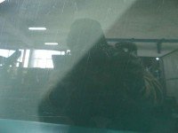 Szyba drzwi przód lewa Lada Kalina 04-09 sedan