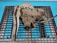 Reduktor Suzuki Samurai 1.3 16V 4X4 4WD