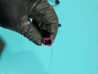 Pas bezpieczeństwa przód prawy pasażera Ford Focus Mk4