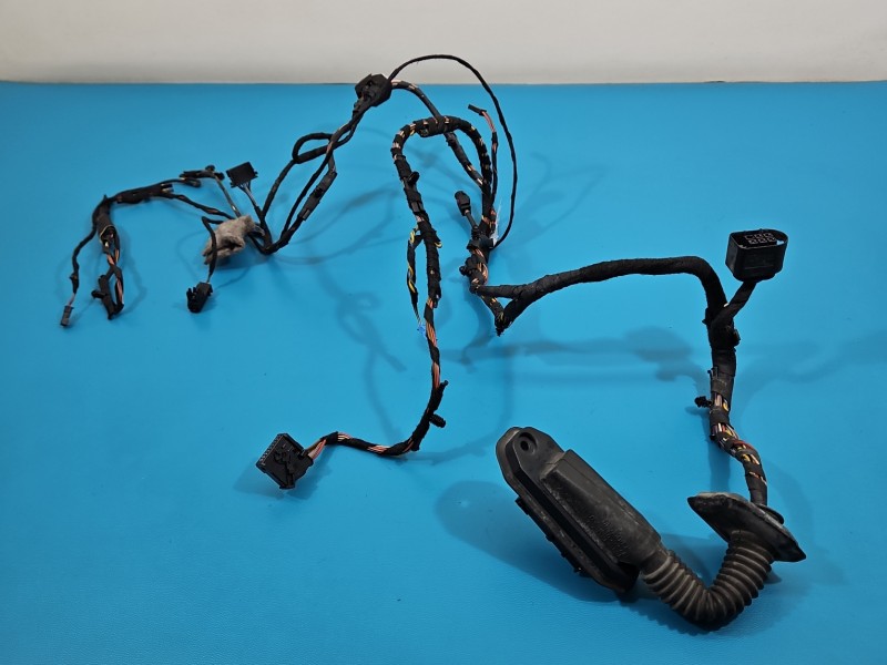 Instalacja Wiązka drzwi przód lewych BMW X6 E71 9242070, 9203113