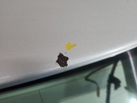 Klapa tył Vw Golf V HB 5d LA7W