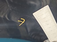 Drzwi tył lewe Kia Sportage III 10-15 5d 1k