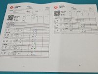 TESTOWANY Wtryskiwacz Peugeot 206 0445110008 2.0 hdi