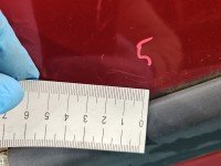 DRZWI PRZÓD LEWE KIEROWCY Renault Clio III 5d TEB76