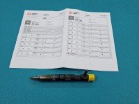 TESTOWANY Wtryskiwacz Renault Scenic II 28232248 1.5 dci