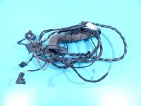 Instalacja Wiązka drzwi tył lewych BMW X5 E70 924355101
