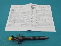 Wtryskiwacz Citroen C5 II X7 9656389980 2.0 hdi