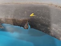 Zderzak przód Opel Meriva A Z157