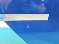 Drzwi tył prawe Opel Astra V K kombi 5d granatowy Y23A