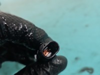 Pompa oleju Land rover Discovery Sport 14- L550 2.0d