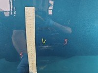 Drzwi tył prawe Toyota Yaris III HB 5d turkusowy 788