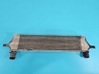 Intercooler Nissan Qashqai I J10 06-13 14461-BB30A 1.5 dci (K9KLH)