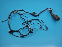 Instalacja Wiązka drzwi przód prawych BMW X6 E71 924207401, 9203114