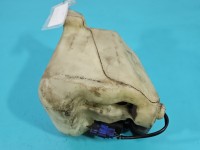 Zbiornik Zbiorniczek płynu spryskiwacza Subaru Forester II SG