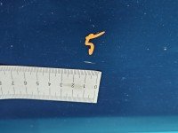 DRZWI PRZÓD LEWE KIEROWCY Vw Jetta V 4d granatowy LD5Q