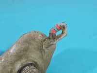 Zbiornik Zbiorniczek płynu spryskiwacza Peugeot 307