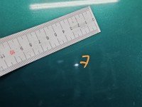 DRZWI PRZÓD LEWE KIEROWCY Toyota Corolla E11 3d 6P5