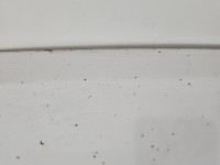 Maska przednia Fiat Ducato III 06-14 boxer jumper biały