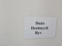 DRZWI PRZÓD LEWE KIEROWCY Renault Scenic III 5d liliowy TEKNG