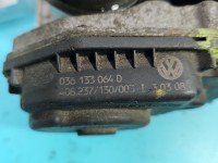 Przepustnica Vw Polo III 6N 036133064D 1.4 16V