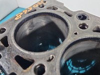 Blok silnika Mercedes Vito W639 646982 2.2 cdi (646982)