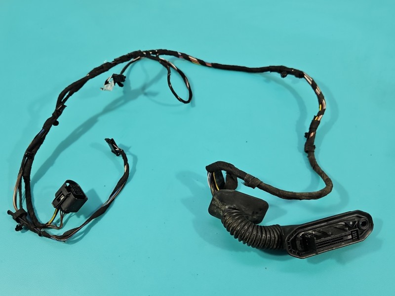 Instalacja Wiązka drzwi tył lewych BMW X1 E84 9191810