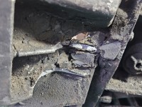 Skrzynia biegów JR5132, JR5 132 Nissan Qashqai I J10 06-13 1.6 16V KR16