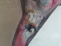 Błotnik przód lewy Opel Corsa C czerwony Y573