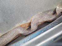 DRZWI PRZÓD LEWE KIEROWCY Jeep Grand Cherokee IV WK2 5d szary