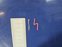 Klapa tył Renault Scenic II HB 5d granatowy DV460