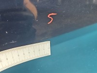 Drzwi tył lewe Fiat Grande Punto HB 5d Brak