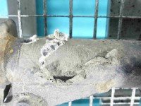 Amortyzator przód prawy przedni Vw Touareg II 10-