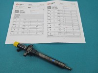 Wtryskiwacz Peugeot 407 2.0 hdi