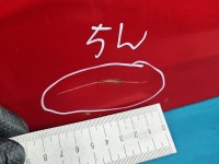 Klapa tył Mazda Premacy HB 5d czerwony