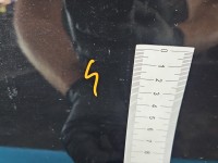 DRZWI PRZÓD LEWE KIEROWCY Fiat Bravo II 5d czarny VR891