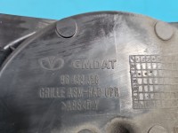 Atrapa grill Opel Antara