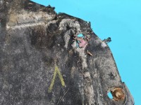 Osłona Producent części: FORD, pod silnik, pęknięta Ford Kuga Mk2 II 13-19 1.5 Ecoboost