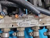 Instalacja LPG GAZU Producent części: Stag, Europejska, KPL. ZE ZDJĘĆ, STAG 4 200 GOFAST