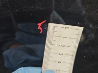 DRZWI PRZÓD PRAWE PASAŻERA Skoda Roomster 5d czarny LF9R