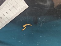 DRZWI PRZÓD PRAWE PASAŻERA Alfa romeo 147 3d Vr846/A