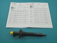 Wtryskiwacz Citroen C5 II X7 9656389980 2.0 hdi