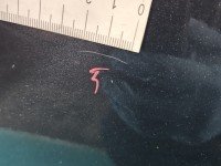 Drzwi tył lewe Renault Clio IV 12-20 kombi 5d szary TEKPN