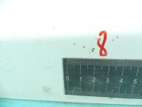 DRZWI PRZÓD LEWE KIEROWCY Hyundai I20 I 08-14 3d biały BMS