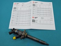 Wtryskiwacz Citroen Berlingo II 0445110311 1.6 hdi