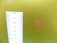 DRZWI PRZÓD LEWE KIEROWCY Citroen Xsara II 5d złoty KAUC